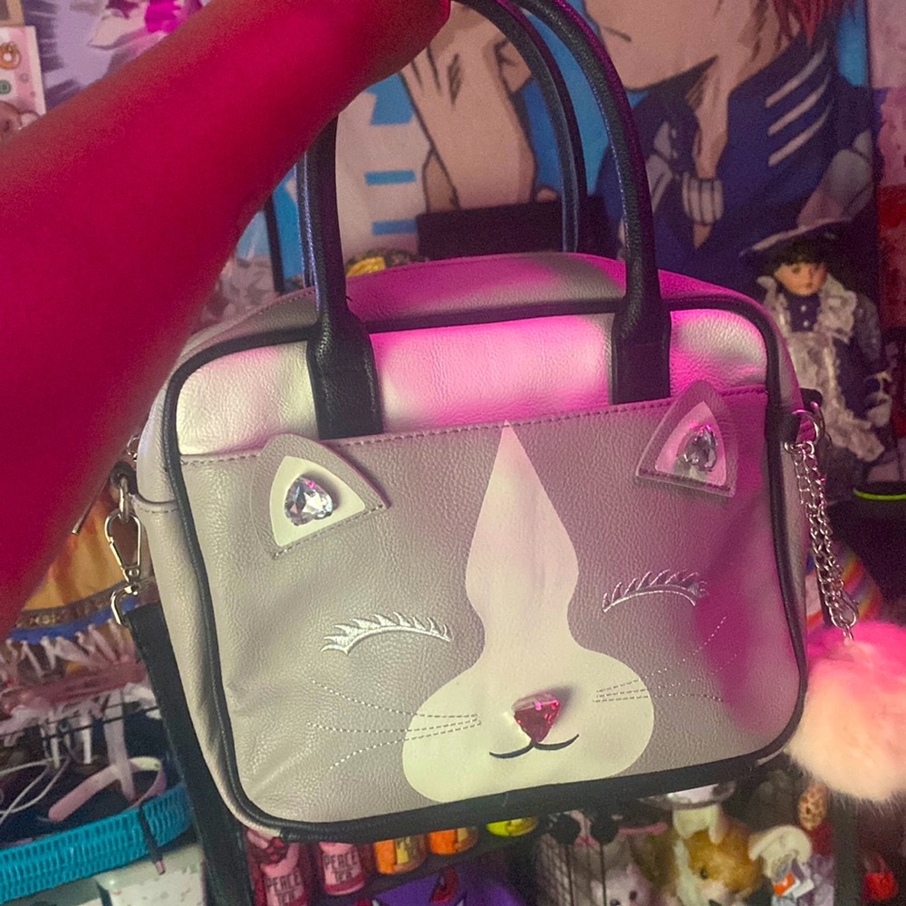 Cat purse/bag
